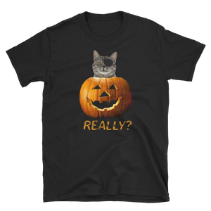 Halloween Trick Treat Cat Jack o Lantern T-Shirt S-3XL
