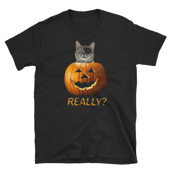 Halloween Trick Treat Cat Jack o Lantern T-Shirt S-3XL