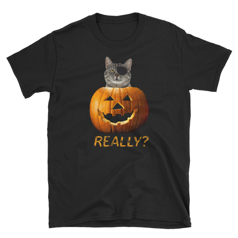 Halloween Trick Treat Cat Jack o Lantern T-Shirt S-3XL