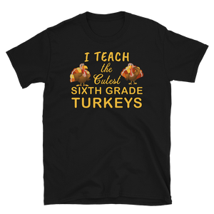 Teacher Thanksgiving Sixth Grade Turkeys T-Shirt S-3XL